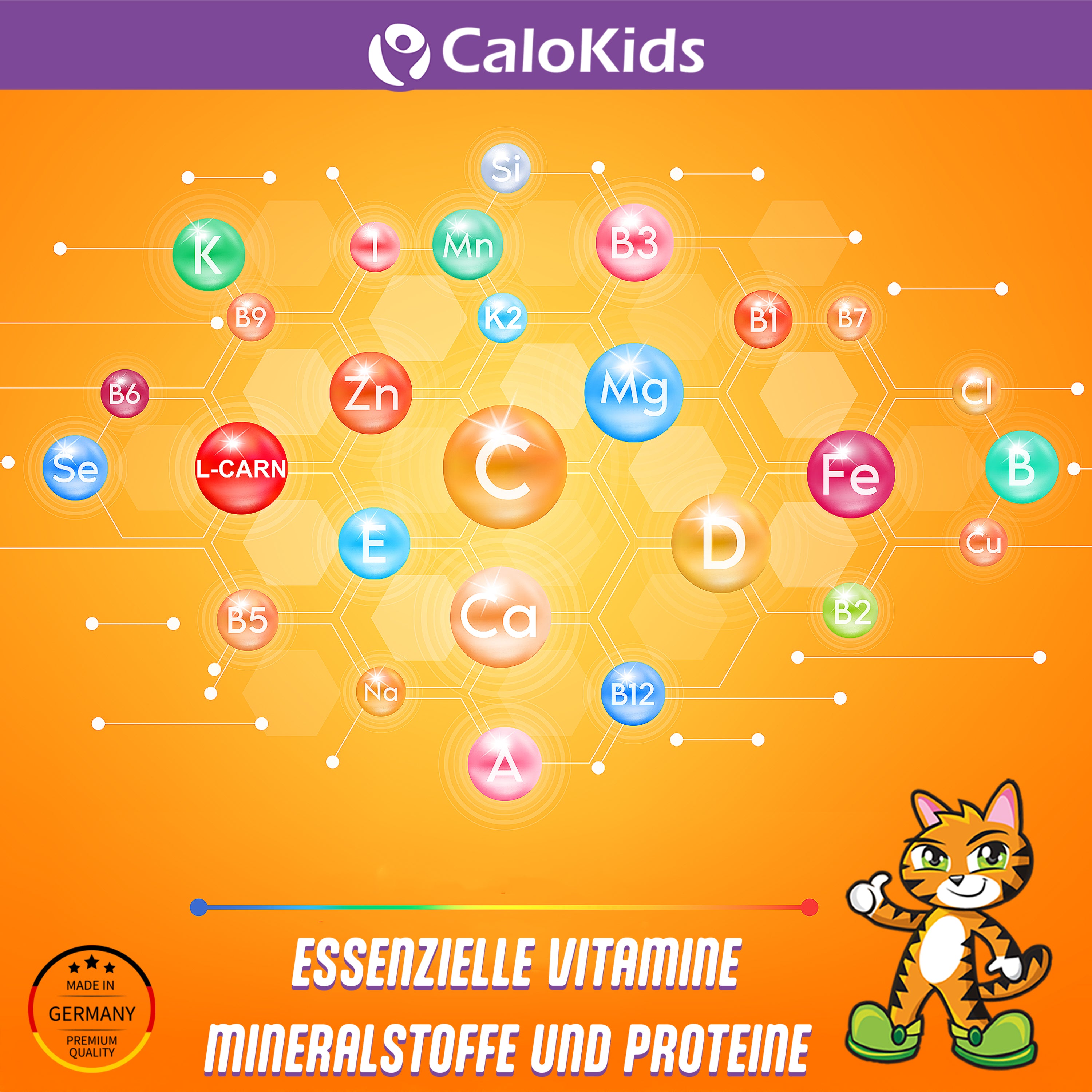 Übersicht der essenziellen Vitamine und Mineralstoffe in CaloKids+: Eine Grafik zeigt Nährstoffe wie Vitamin C, D, Magnesium, Eisen und Zink in einer Molekül-Struktur.